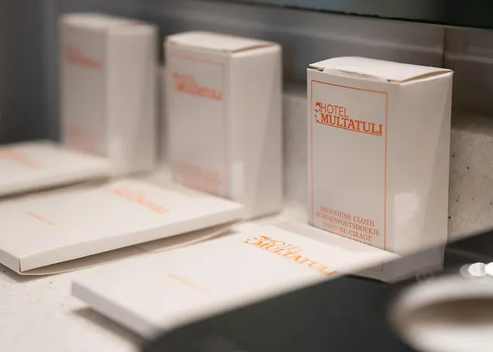 물타툴리 암스테르담