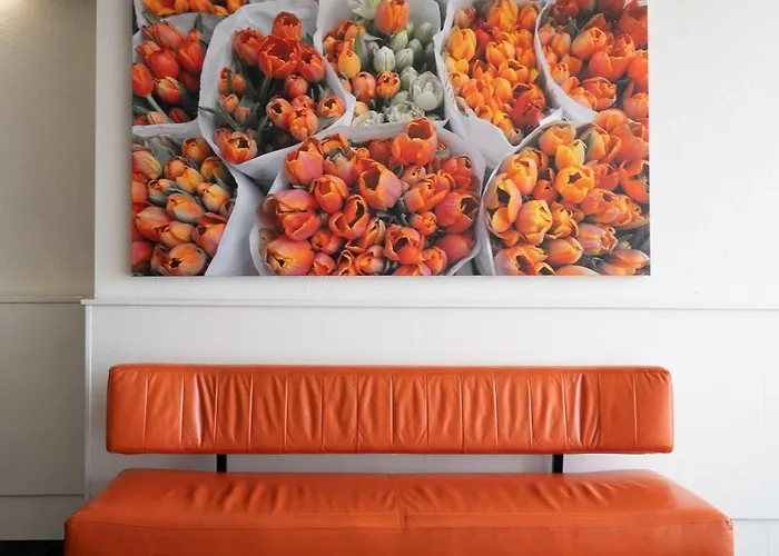 물타툴리 3* 암스테르담